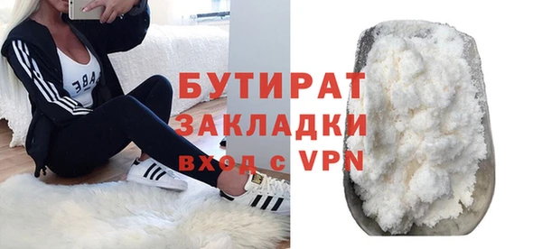 крисы Бородино