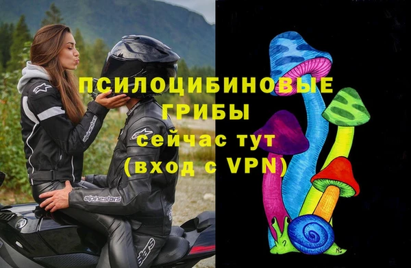 молекула духа Новодвинск