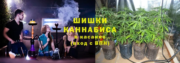 PSILOCYBIN Приозерск