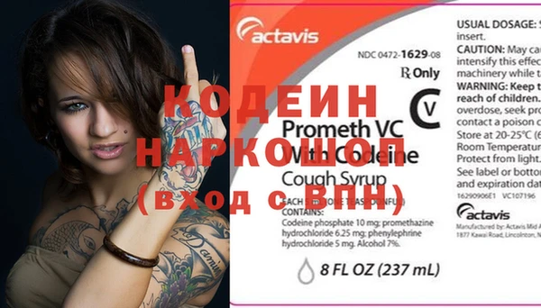 молекула духа Новодвинск