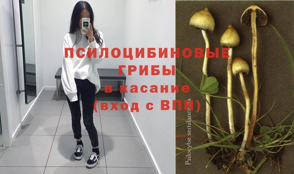 герыч Няндома